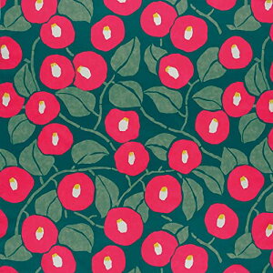 ނ ӂ낵 100 |v ANAhbv ΂ XO[ 100cm |GXe H 