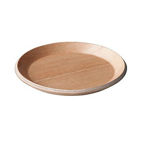 KINTO (�L���g�[) CAST �R�[�X�^�[ 100mm �o�[�` �ؐ� 23089 ��������