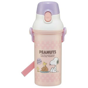 XP[^[(Skater)  480ml qp R vX`bN qɗD y Xk[s[ 80s JtF { PS 