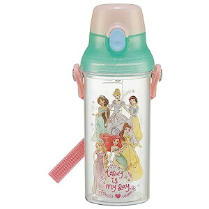 XP[^[(Skater) qp NA vX`bN  480ml fBYj[ vZX ڐtŐ⋋̊Ǘ PSB5 