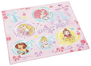 XP[^[(Skater) qp ٓ `NX 43×43cm LbY { fBYj[ vZX 25 KB4 