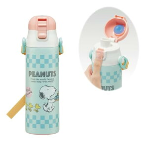 XP[^[(Skater) qp XeX   580ml Xk[s[ 80sJtF qɗDyʃ^Cv ̎q ۗ 