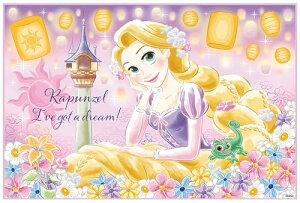 XP[^[(Skater) qp W[V[g  STCY 60×90cm ̏̃vcF 25 ̎q VS1 