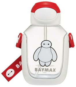 XP[^[(Skater) qp  Xg[t 530ml Xg[ vbV fBYj[ xC}bNX 25 PDSH 