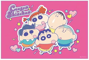 XP[^[(Skater) qp W[V[g  STCY 60×90cm N񂿂 25 VS1 