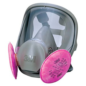 3M ւh}XNM 6000F/2091-RL3 