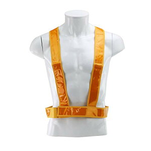 SK11 ˃xXg ^XL^Cv ˍ ƒ F SK-TAS-Y 