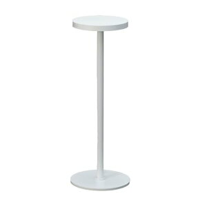 �R�c�Ɩ� Z���C�g �����FLED ���F���ꂢ �z���C�g ZR-1 W �Z�[�h����100mm�E��300mm�E�x�[�X����110mm ��������