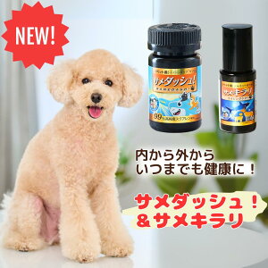 AbemaTVŏЉ܂ T_bVI TL Zbg ybgTv ̃Tv L̃Tv ybgpTvg 畆   ֐  ѕ Tv c  ێ ێIC