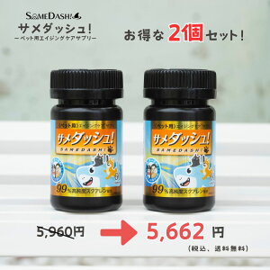 T_bVI 2Zbg ybgTvg ybg̃Tv GCWOPA  L Tvg  ֐ ѕ щ Tv pTv LpTvg XN T yb