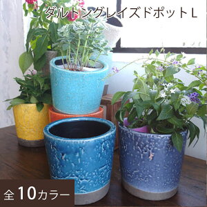 鉢植え 花 室内の人気商品 通販 価格比較 価格 Com