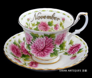 CAo[g Royal Albert t[ Iu U }X 11 e Jbv\[T[ pp