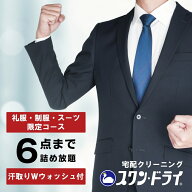 スーツ 礼服 限定 プラン クリーニング 6点 6着 宅配クリーニング ビジネス スーツ 制服 クリーニング し…