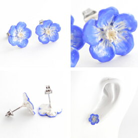 楽天市場 花 ネモフィラの通販