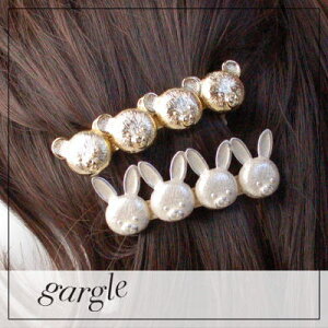 gargle/K[O X̗FB ob^N} F  ETM  rbgDM։\ wA ANZT[