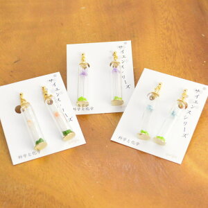 楽天市場 イヤリング Gargle ガーグル Flower Bottle イヤリング E215r 680g 2105 Swaps アクセサリーと雑貨 Swaps