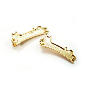 MlŘ`łIwANbv S[hJ[~[M ZbeBO䁚wAANZT[fRpnhChp[c ˂ L