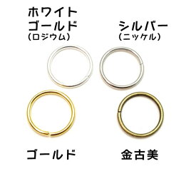 楽天市場 丸カン 大きいの通販