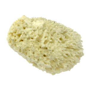 ibd1037) C() X|W ז g[yCeBO  g[yCg H   Ntg DIY C ڂ c[ h }[uCWO VR