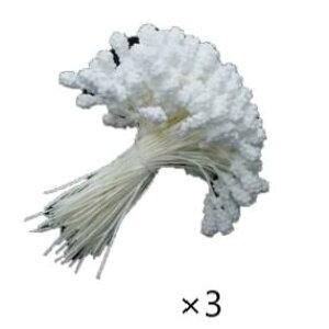 (KP870) JXsAybv 3 񒷂6cm a3-4mm×1cm ybv A[gt[ ԗp Ԑc    ߂ ܂ݍ׍H fBbvA[g RT[W 񂴂