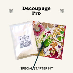 �f�R�p�[�W���v�� �X�^�[�^�[�Z�b�g C 100ml �M �y�[�p�[�i�v�L�� �I�}�P�t�� �f�R�p�[�W���p�� �O���[ �� �m�� �̂� �f�R�p�[�W���O���[ ���S�҃Z�b�g �L�b�g �g���C�A�� ������ ���S�� ���[