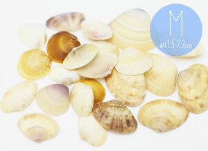 LȊOsy~j`Ap[cz C̑蕨@񖇊L@VF@VRfށ@MTCY 1.5cmȏ L 