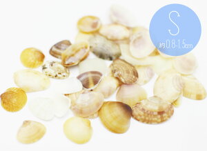 LȊOsy~j`Ap[cz C̑蕨@񖇊L@VF@VRfށ@STCY 0.8`1.5cm@8+܂2