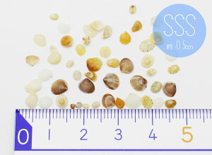 LȊOs݌Ɍy~j`Ap[cz C̑蕨@񖇊L@VF@VRfށ@SSSTCY 0.5cmȉ@4+܂1