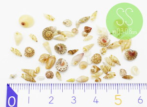 LȊOsy~j`Ap[cz C̑蕨@L@VF@VRfށ@SSTCY 0.3`0.8cm@4+܂1