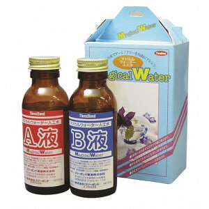 (deco75) }WJEH[^[ lH ij160gZbg Wt UV LED z Wt x ςɂ nhCh Ntg