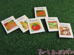 ~j`A ԁ؂̎Zbg NY30019-A h[nEXp