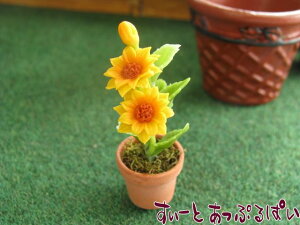 ~j`A ~jЂ܂̔A SMFL014 h[nEXp