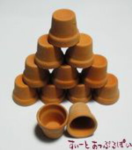 ~j`A eRb^̐Aؔ SMPLTR1 h[nEXp