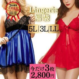 ＼今だけ3点！2800円／ ランジェリー 大きいサイズ セクシー 勝負下着 福袋 穴あき セクシーランジェリー プラスサイズ LL 3L 5L 福袋 3点 透け透け 超過激 可愛い ベビードール ブラセットTバック ショーツ 紐パン 下着 レディース