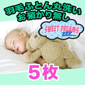 yHѕzc N[jOzې5 [R[X yz