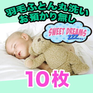 yHѕzc N[jOzې10 [R[X yz