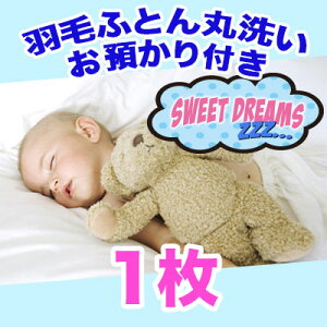Hѕzc N[jO ې1 ۊǃR[X 8 zc ۊǗ ӂƂ zyz