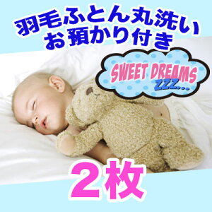 Hѕzc N[jO ې2 ۊǃR[X 8zcۊǗ z ӂƂ N[jOyz