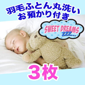 Hѕzc N[jO ې3 ۊǃR[X 8zcۊǗ z ӂƂ N[jOyz