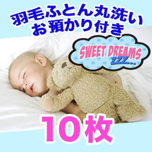 yHѕzc N[jOzې10 ۊǃR[X 8zcۊǗ z ӂƂ N[jOyz