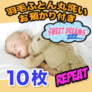 yHѕzc N[jOzs[^[ ӂƂ ې10 ۊǃR[X z zc N[jOyz