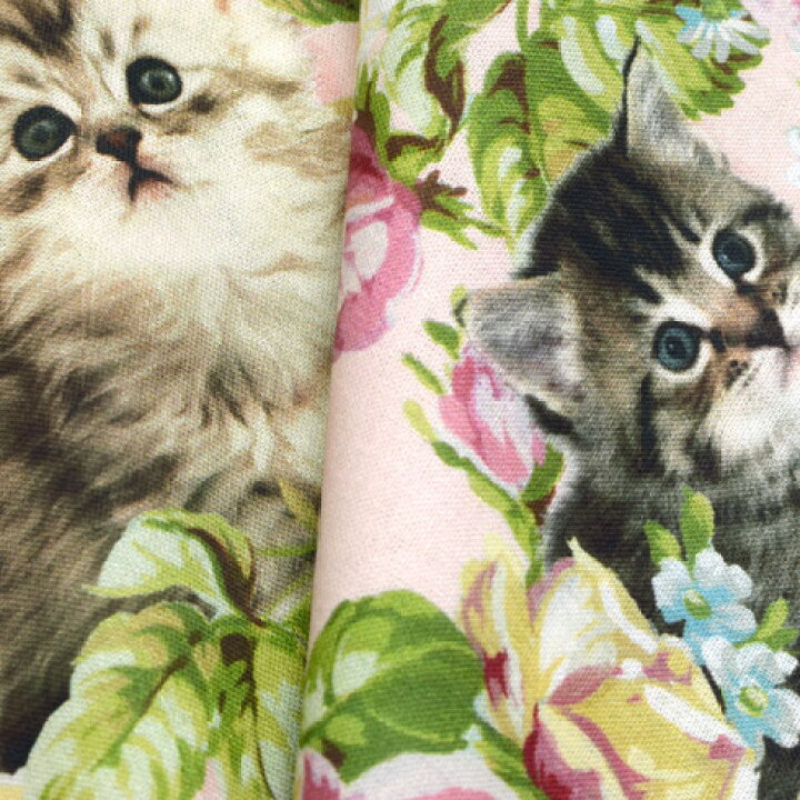 楽天市場 デジタルプリント ローズミートキトゥン 生地 かわいい ねこ 動物 アニマル かわいい生地 スイート ハート