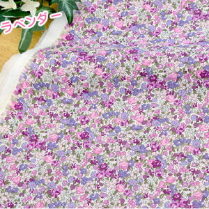 ԕ n 킢ԕ͑劈􂵂Ă܂ uYUWA 60[ veBEnbs[ v60[ 108cm×50cm C[OK
