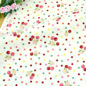 R֎q 30' t[ch 2024Summer n 킢 L֏X `F[ C`S 108cm×50cm 50cmP [OK