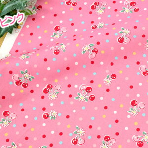 R֎q 30' t[ch 2024Summer n 킢 L֏X `F[ C`S 108cm×50cm 50cmP [OK
