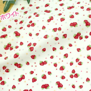 R֎q 30' t[ch 2024Summer n 킢 L֏X `F[ C`S 108cm×50cm 50cmP [OK