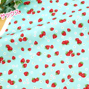 R֎q 30' t[ch 2024Summer n 킢 L֏X `F[ C`S 108cm×50cm 50cmP [OK