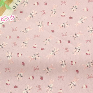 u eJ[̂Ƃ v 108cm×50cm 50cmP [OK