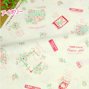 R֎q n Vu R֎q 30' 2025 Part3t[Mtg v 킢 pb`[N YUWA L֏X 108cm×50cm 50cmP [OK