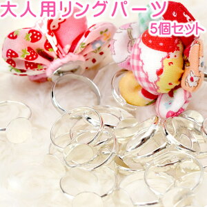 fRp[c ulpOp[c 5Zbgv 킢 nhCh ANZT[ fR[Vx